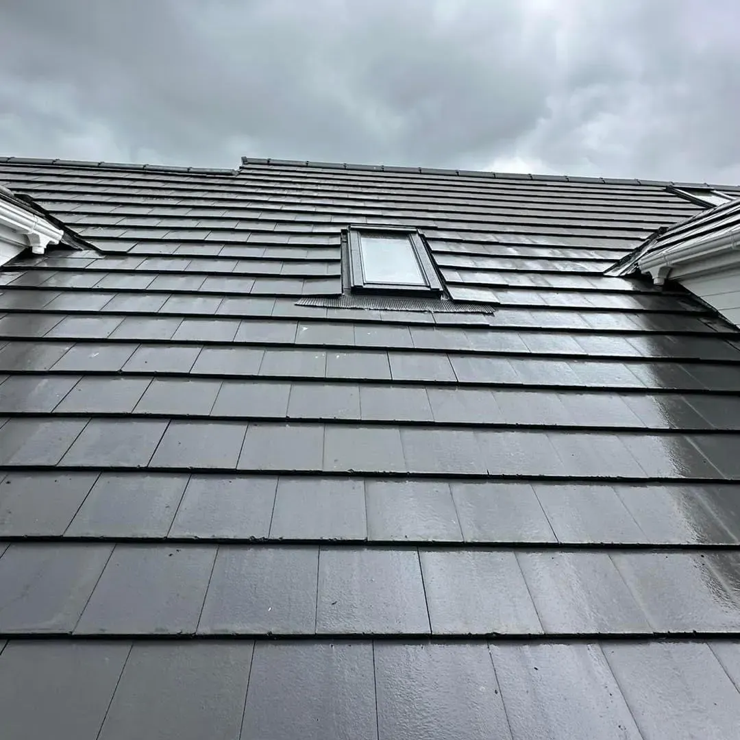 Roofing & Building
